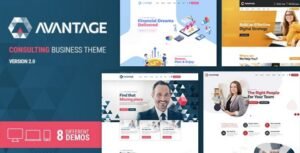 Avantage v2.5.6 – Business Consulting