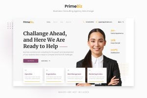 wb_284_primebiz_business_consulting_agency_hero_image